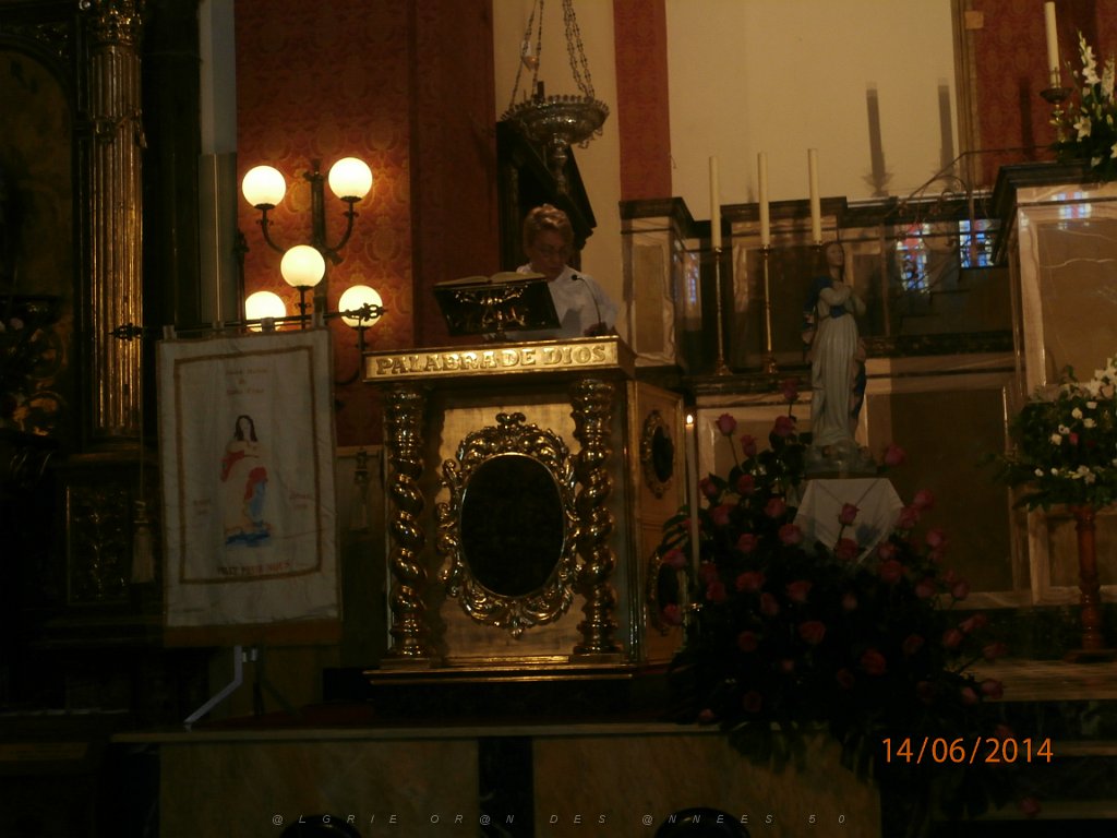 HOMMAGE A N.D. DE SANTA CRUZ A DALIAS 14 ET 15 JUIN 2014 (35).JPG